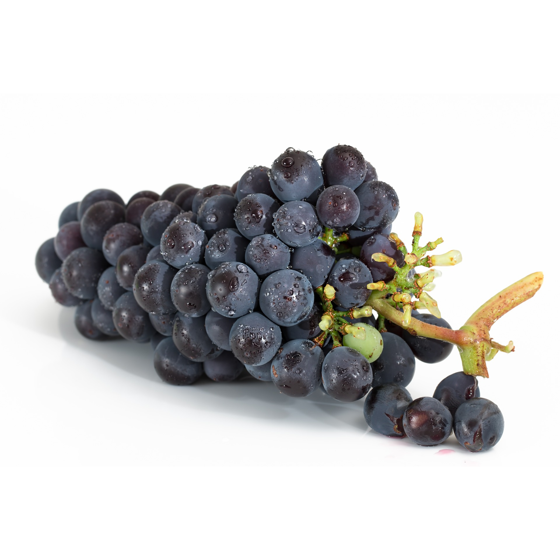 Hroznová vôňa Hroznová vôňa